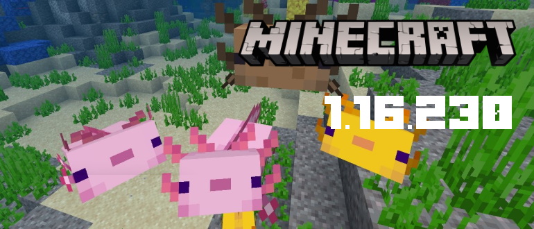 Minecraft 1.16.230